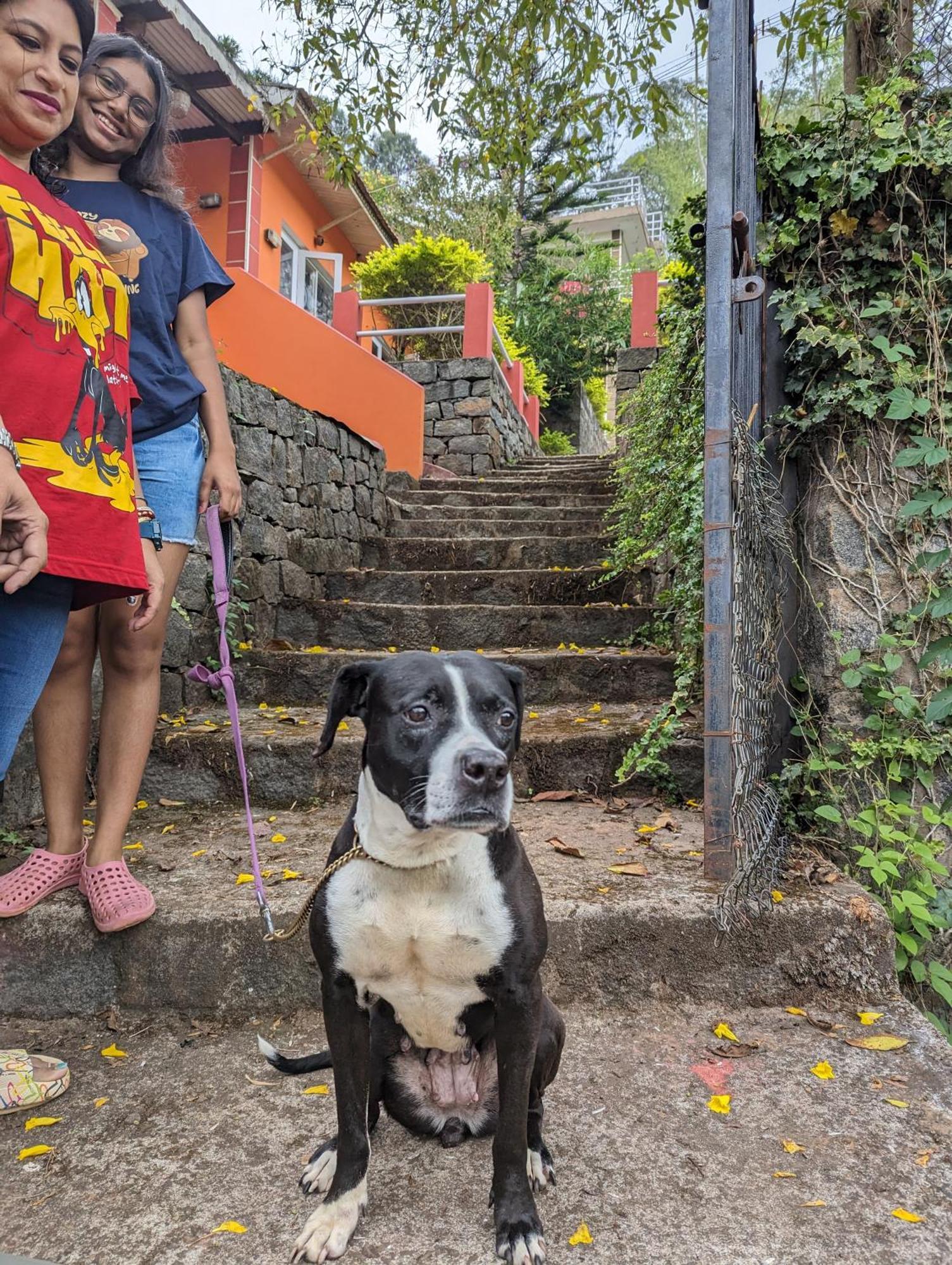 Ghar Homestay, コタジリ エクステリア 写真