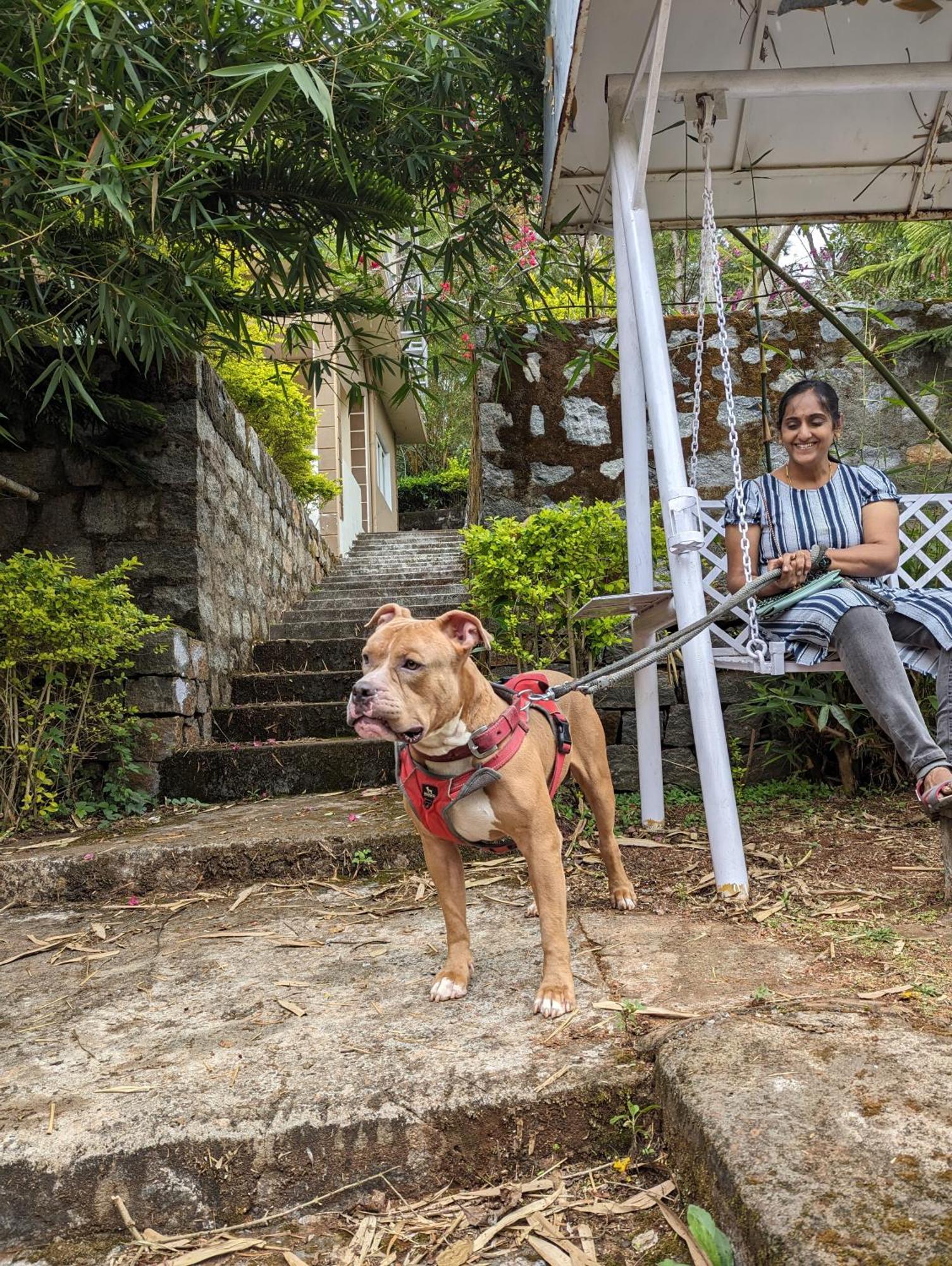 Ghar Homestay, コタジリ エクステリア 写真