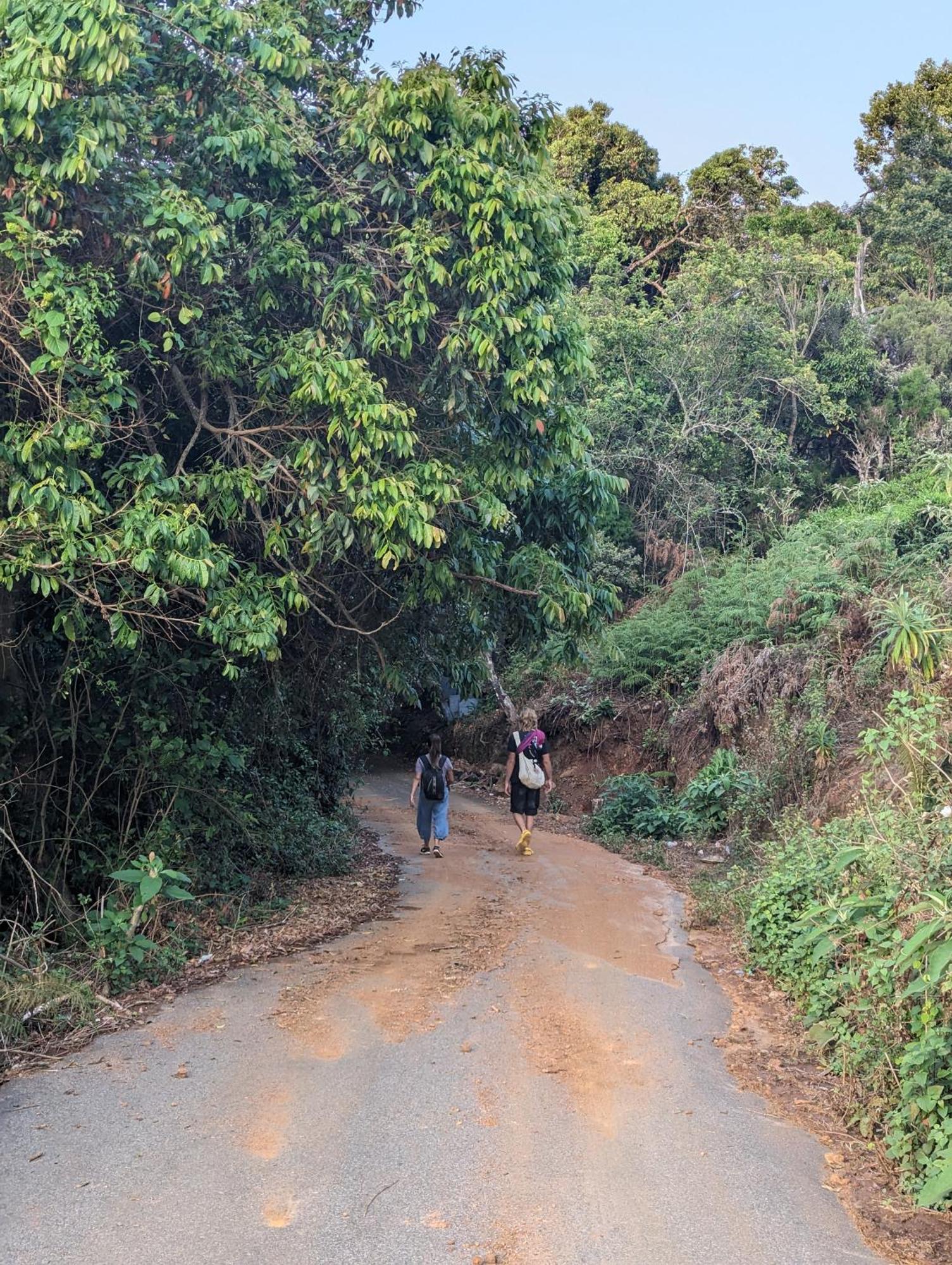 Ghar Homestay, コタジリ エクステリア 写真