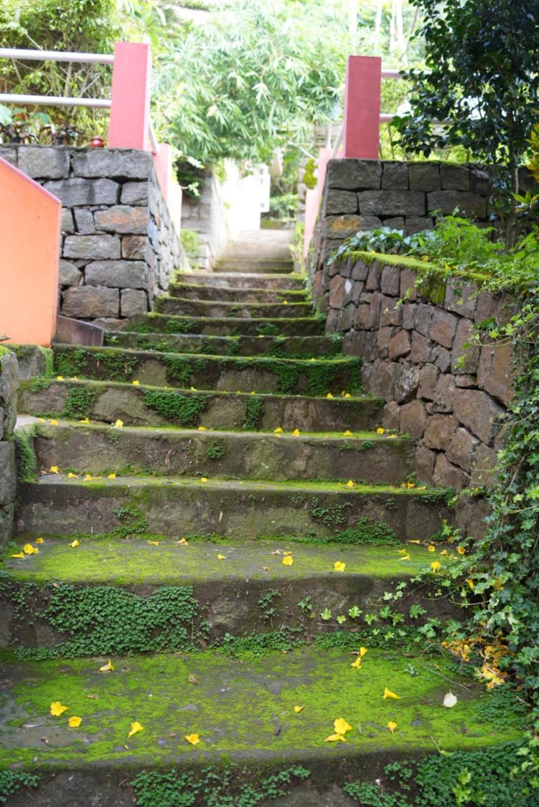 Ghar Homestay, コタジリ エクステリア 写真